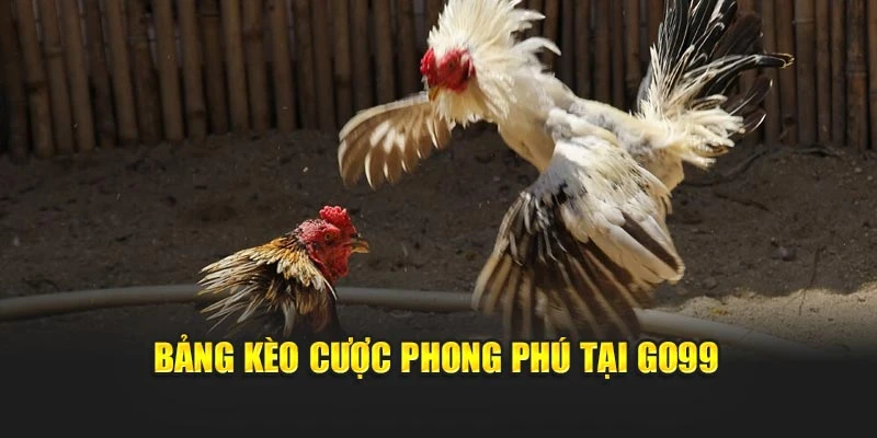 Bảng kèo cược phong phú tại GO99