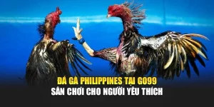Đá Gà Philippines Tại GO99 – Sân Chơi Cho Người Yêu Thích
