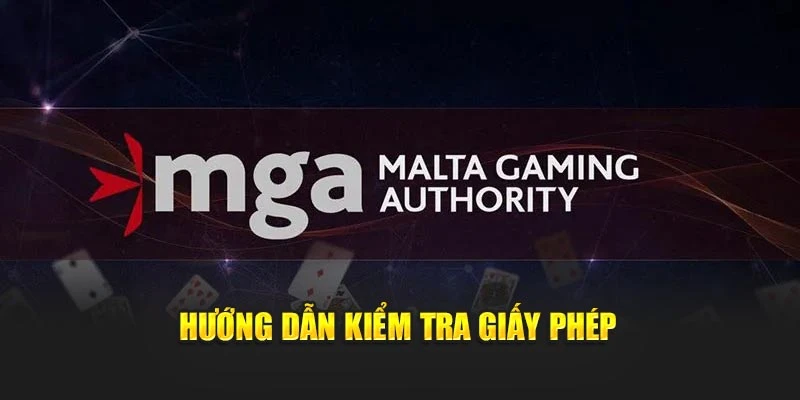 Hướng dẫn kiểm tra giấy phép