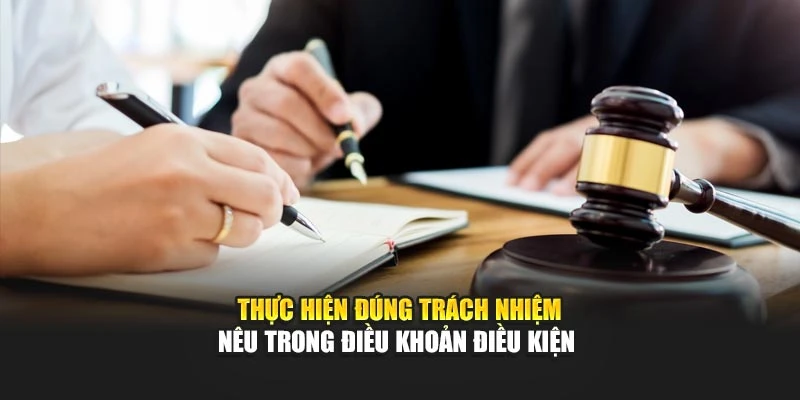 Thực hiện đúng trách nhiệm nêu trong điều khoản điều kiện 